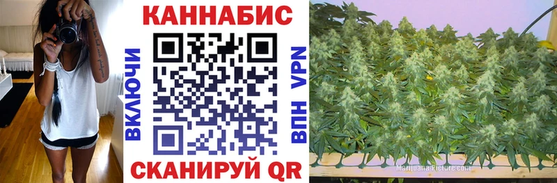 Канабис White Widow  Апатиты 